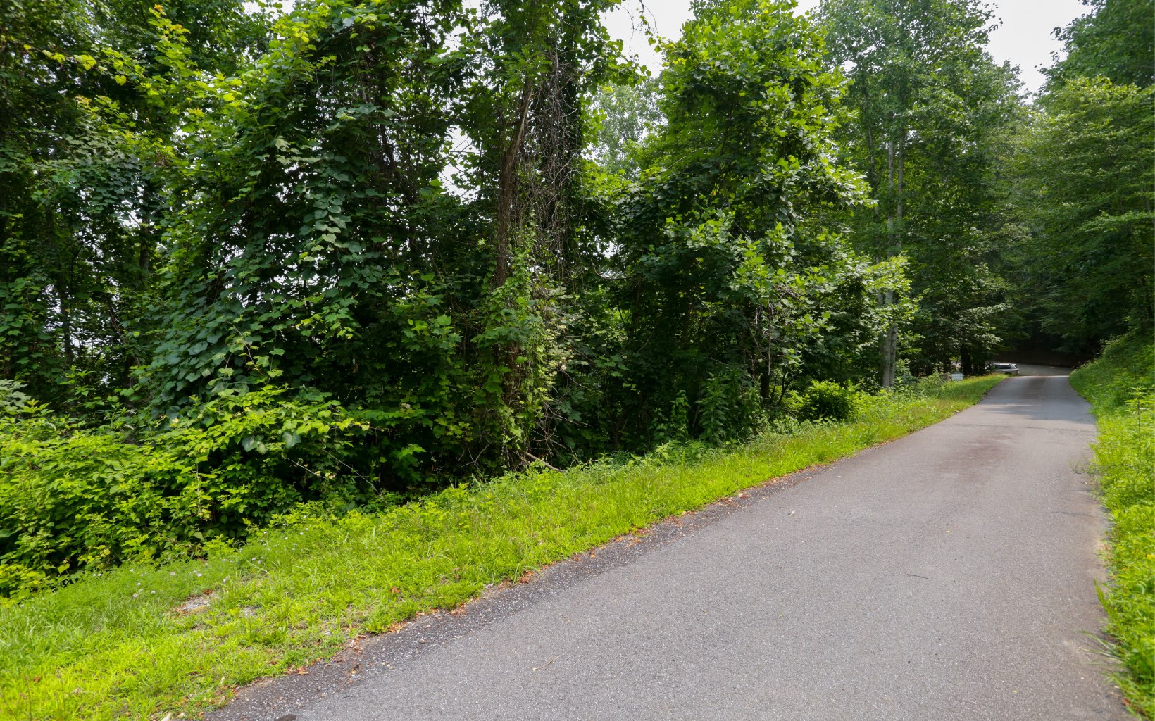 Lot 73 Eagles View Property Photo 21