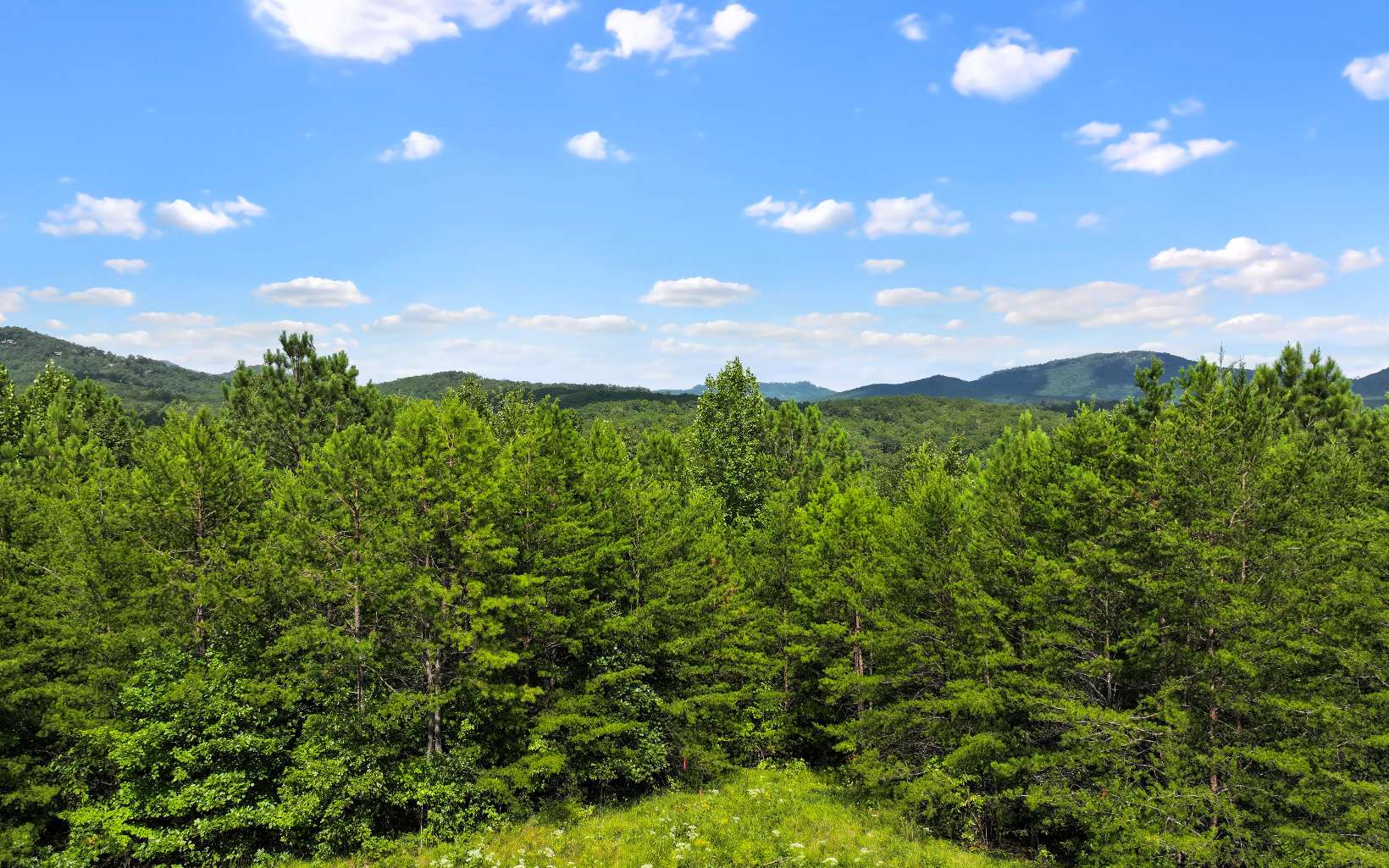 Lot 1 North View Drive