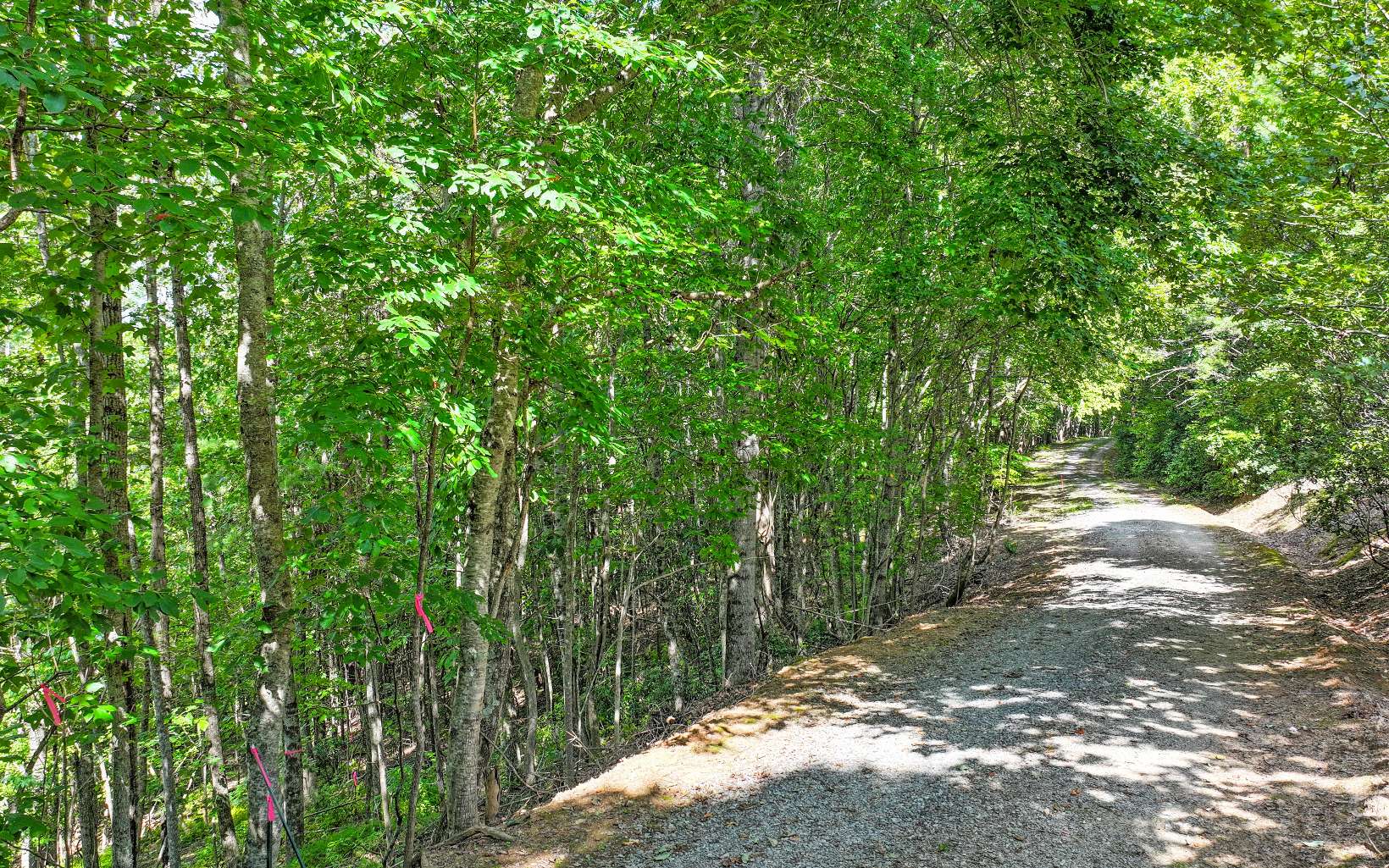 Lot 1 North View Drive Property Photo 3