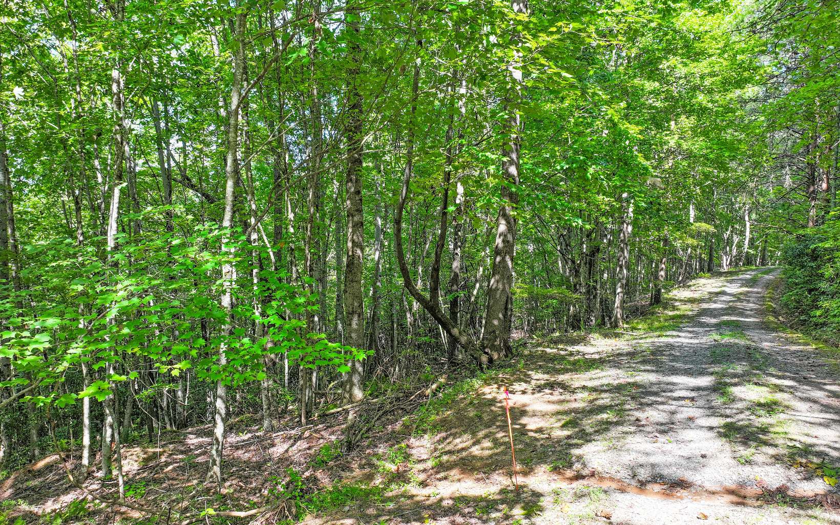 0 North View Trail Property Photo 1