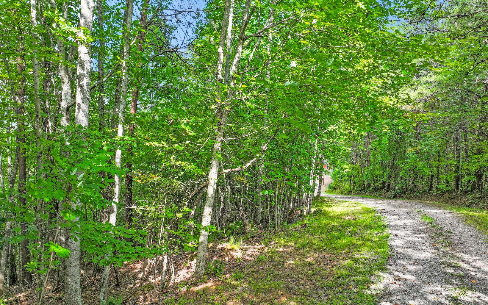 0 North View Trail Property Photo 1