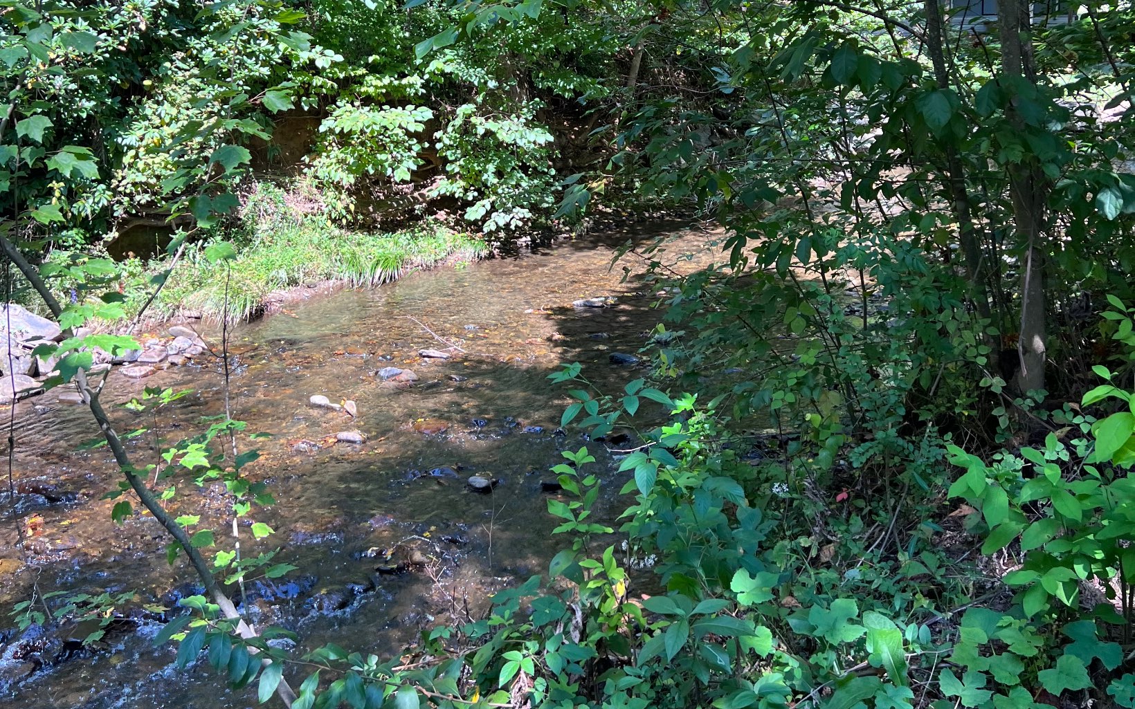 285 Mountain Meadow Property Photo 1