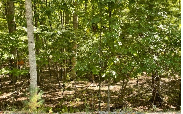 8 Ac Payne Way Property Photo 1