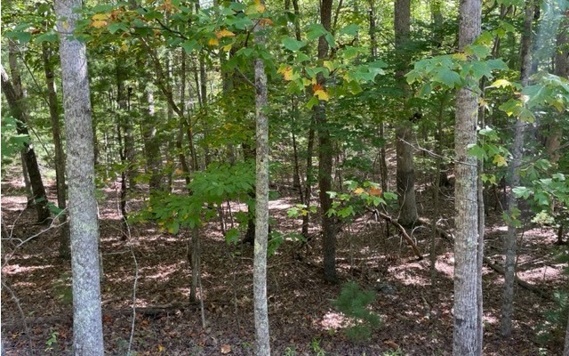 8 Ac Payne Way Property Photo 3