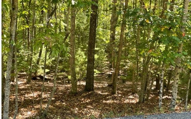 8 Ac Payne Way Property Photo 5