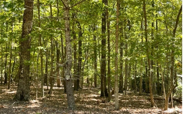 8 Ac Payne Way Property Photo 7