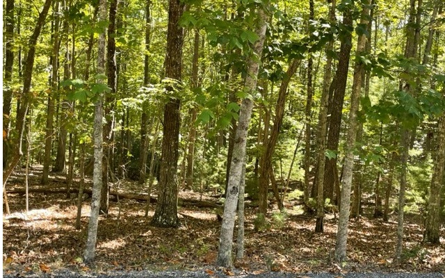 8 Ac Payne Way Property Photo 8