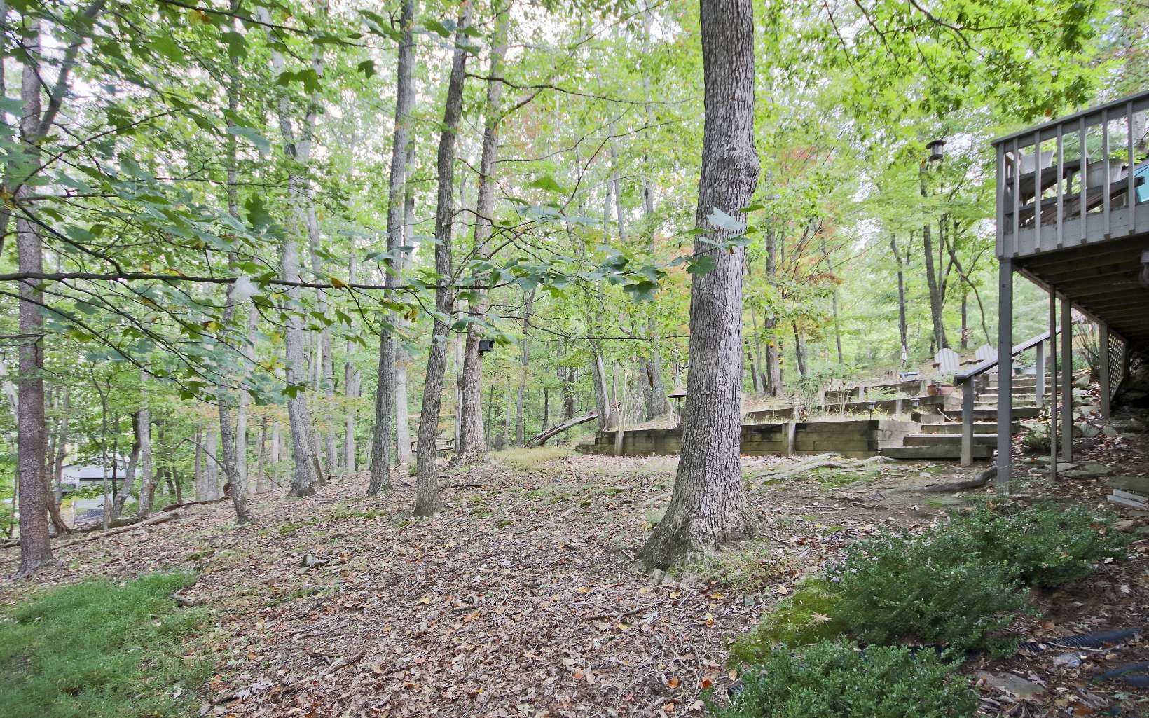 31 Fairview Court Property Photo 43