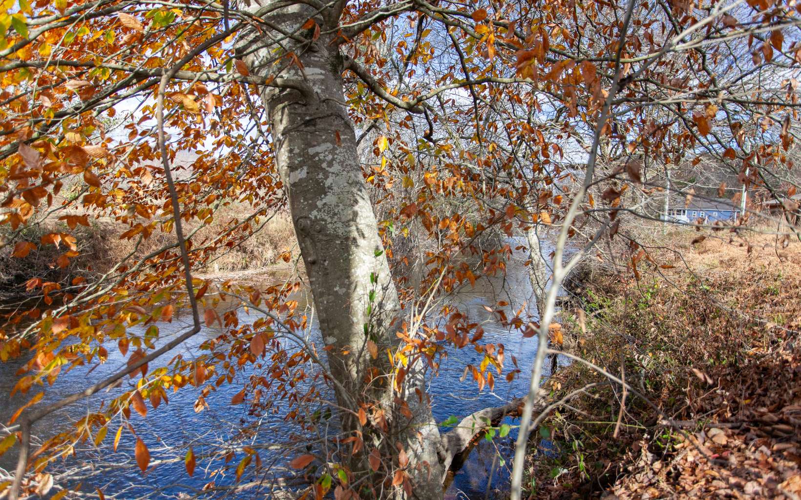 00 Leaping Trout Run Property Photo 15