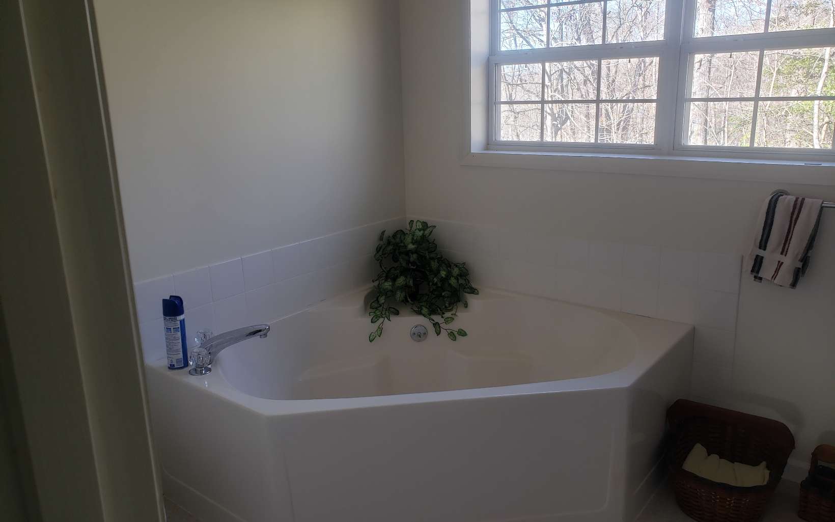 85 Mccracken Cove Road Property Photo 19