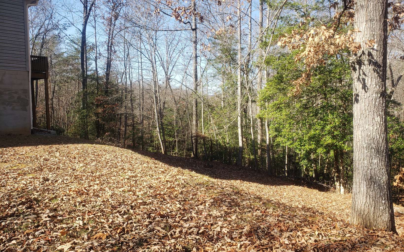 85 Mccracken Cove Road Property Photo 29