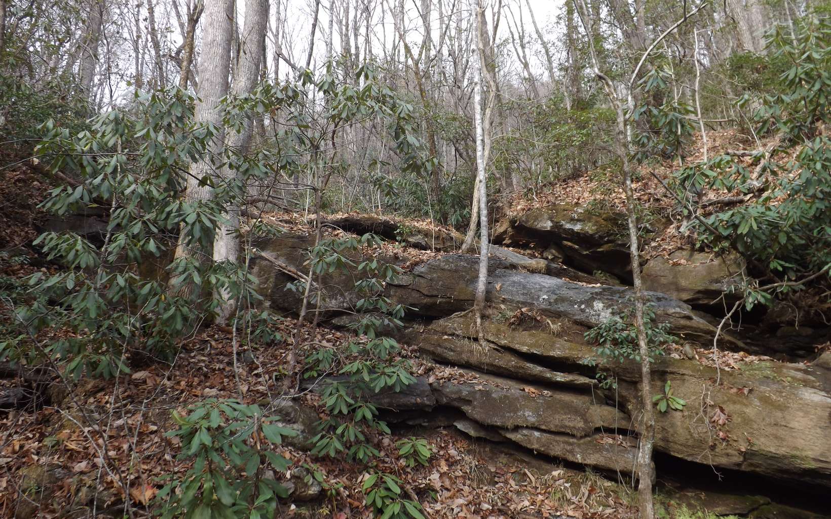 Eastview Eastview Lane- Lot M Property Photo 33