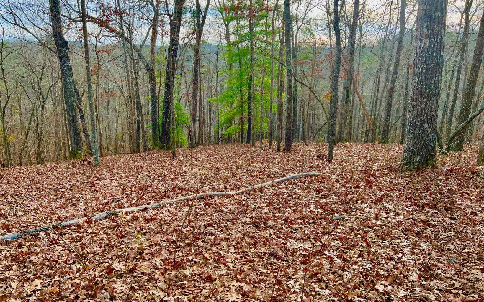 Lt209 Harris Ridge Drive Property Photo 1