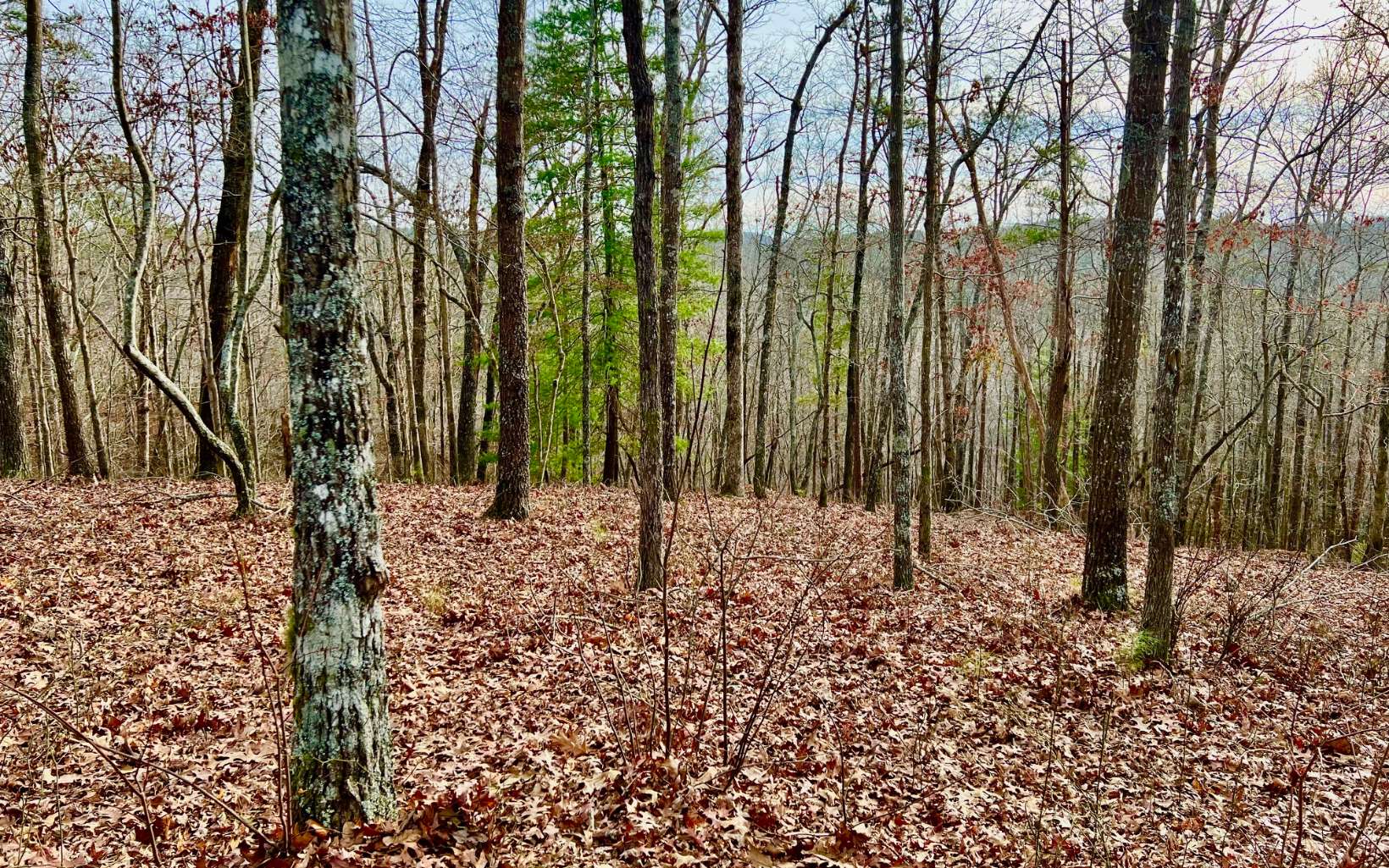 Lt209 Harris Ridge Drive Property Photo 11