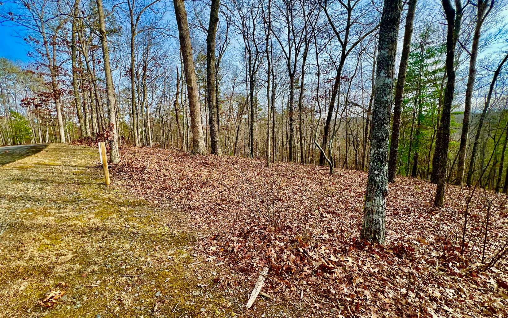 Lt209 Harris Ridge Drive Property Photo 12