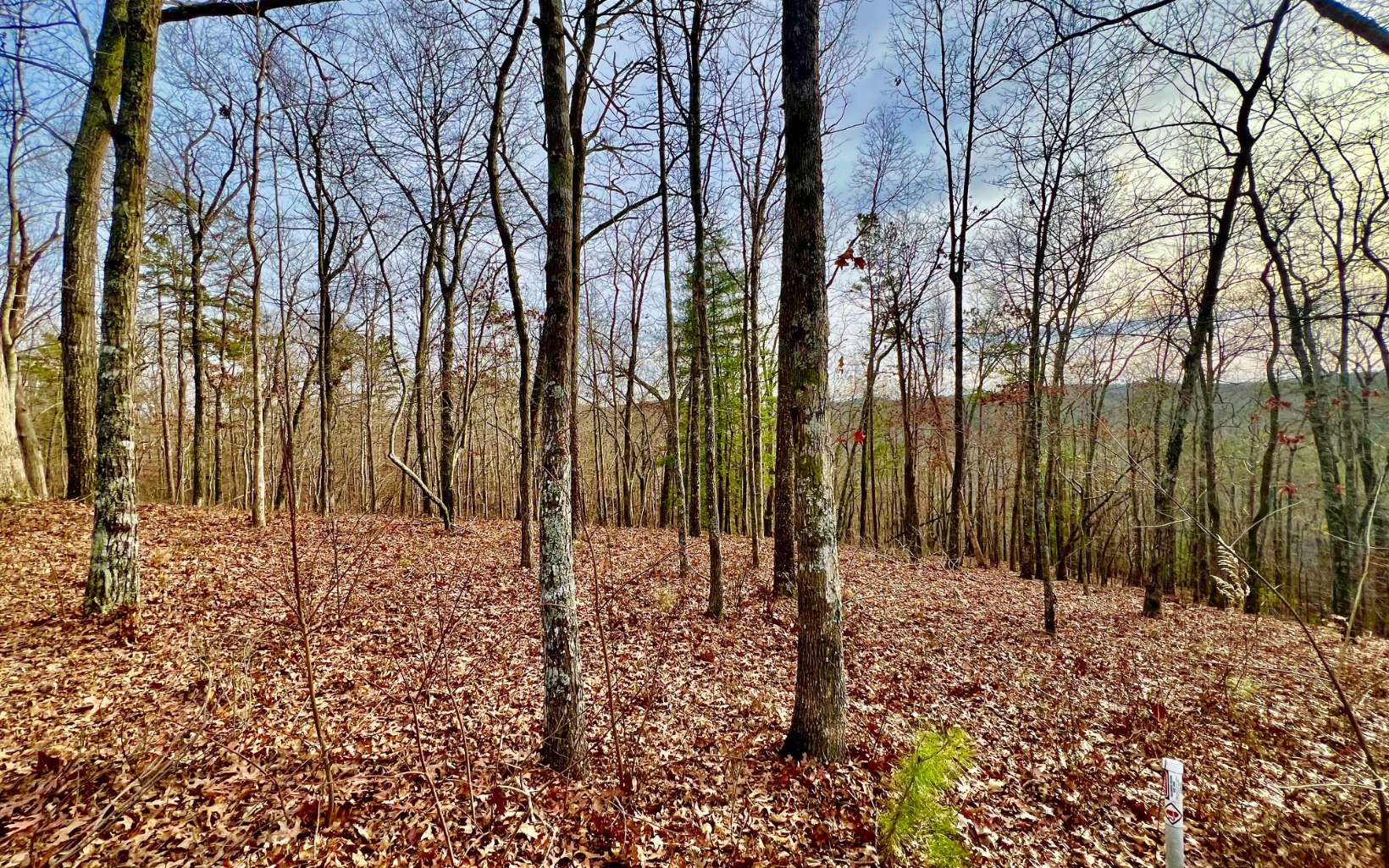 Lt209 Harris Ridge Drive Property Photo 13