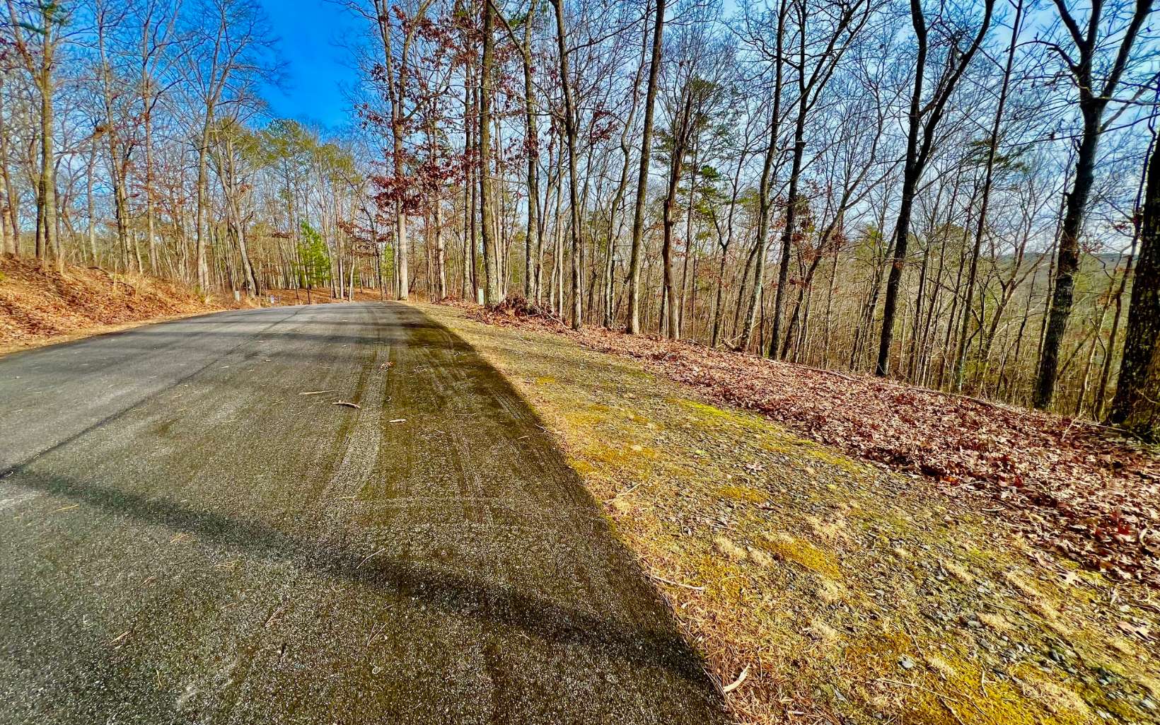 Lt209 Harris Ridge Drive Property Photo 17