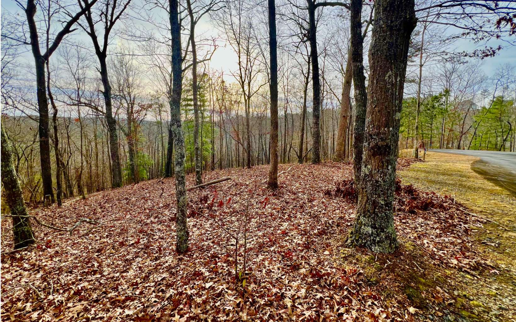 Lt209 Harris Ridge Drive Property Photo 19