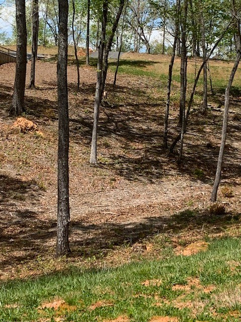 Lot #6 Lake Top Property Photo 2