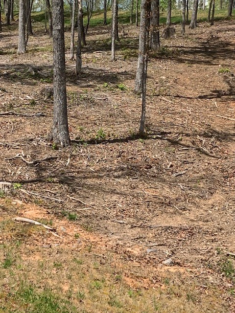 Lot #6 Lake Top Property Photo 3