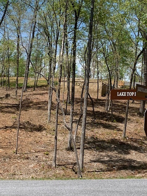 Lot #6 Lake Top Property Photo 5