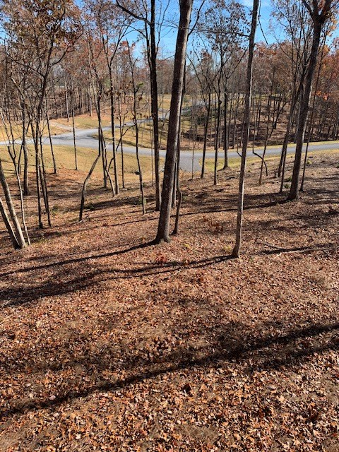 Lot #6 Lake Top Property Photo 6