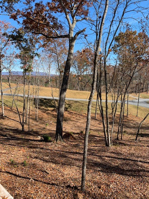 Lot #6 Lake Top Property Photo 7