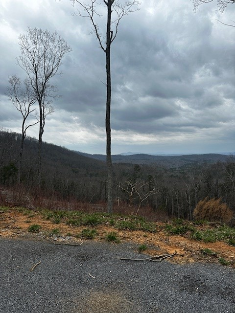 Lot 173 Shagbark Court Property Photo 4
