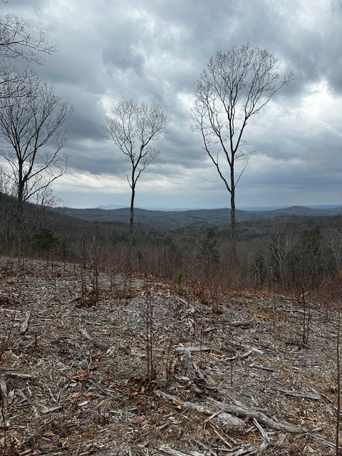 Lot 173 Shagbark Court Property Photo 5