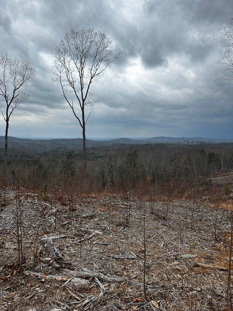 Lot 173 Shagbark Court Property Photo 6