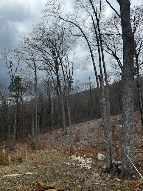 Lot 173 Shagbark Court Property Photo 7