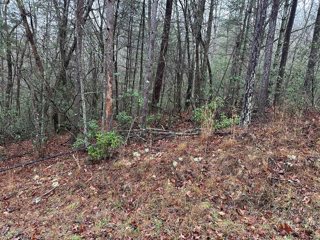 0 Graham Court Property Photo 2