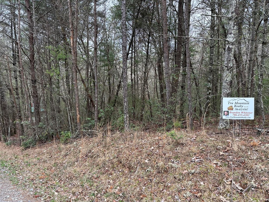 0 Graham Court Property Photo 3