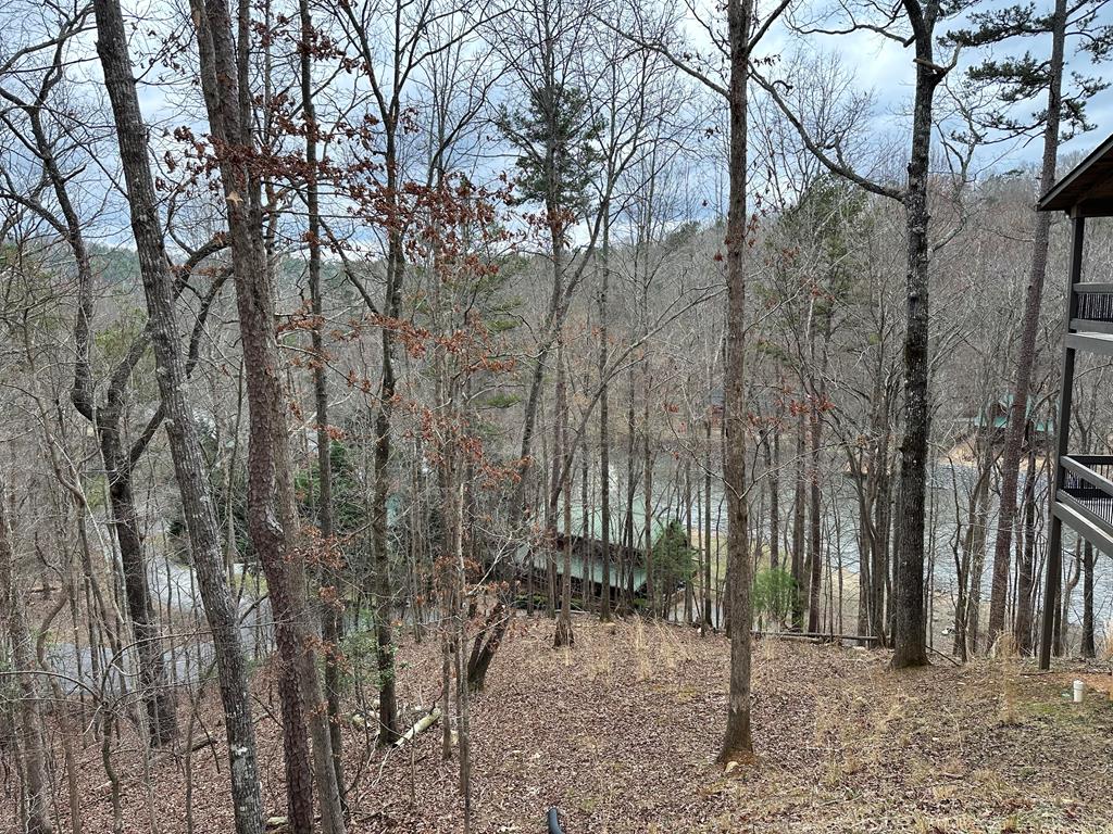 0 Dawn Court Property Photo 1