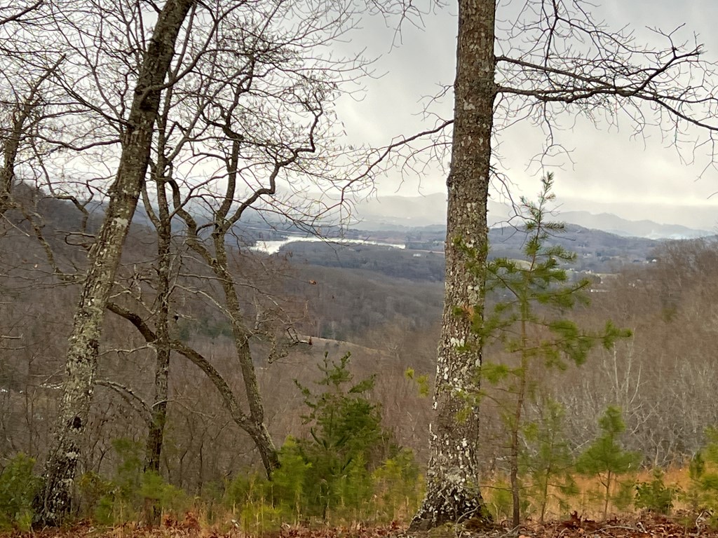 Lot 137 Shiloh Property Photo 4