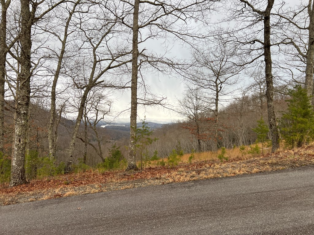 Lot 137 Shiloh Property Photo 5