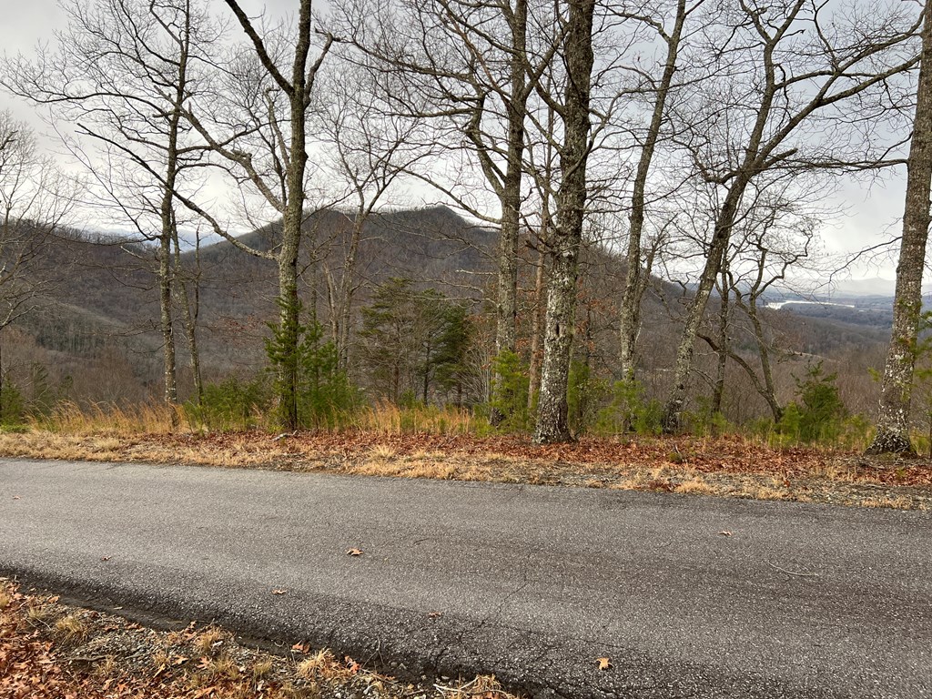 Lot 137 Shiloh Property Photo 6