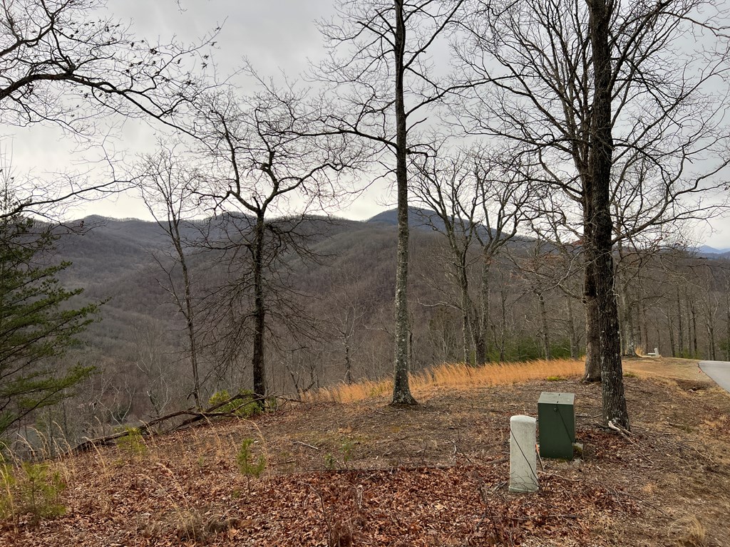 Lot 137 Shiloh Property Photo 8