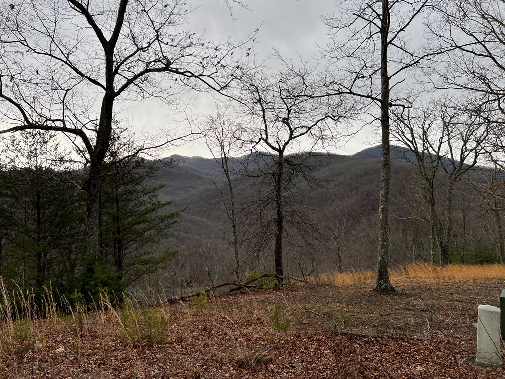 Lot 137 Shiloh Property Photo 9