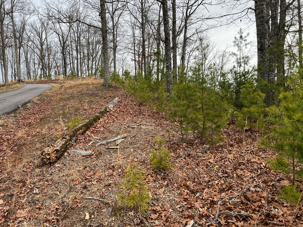 Lot 137 Shiloh Property Photo 17