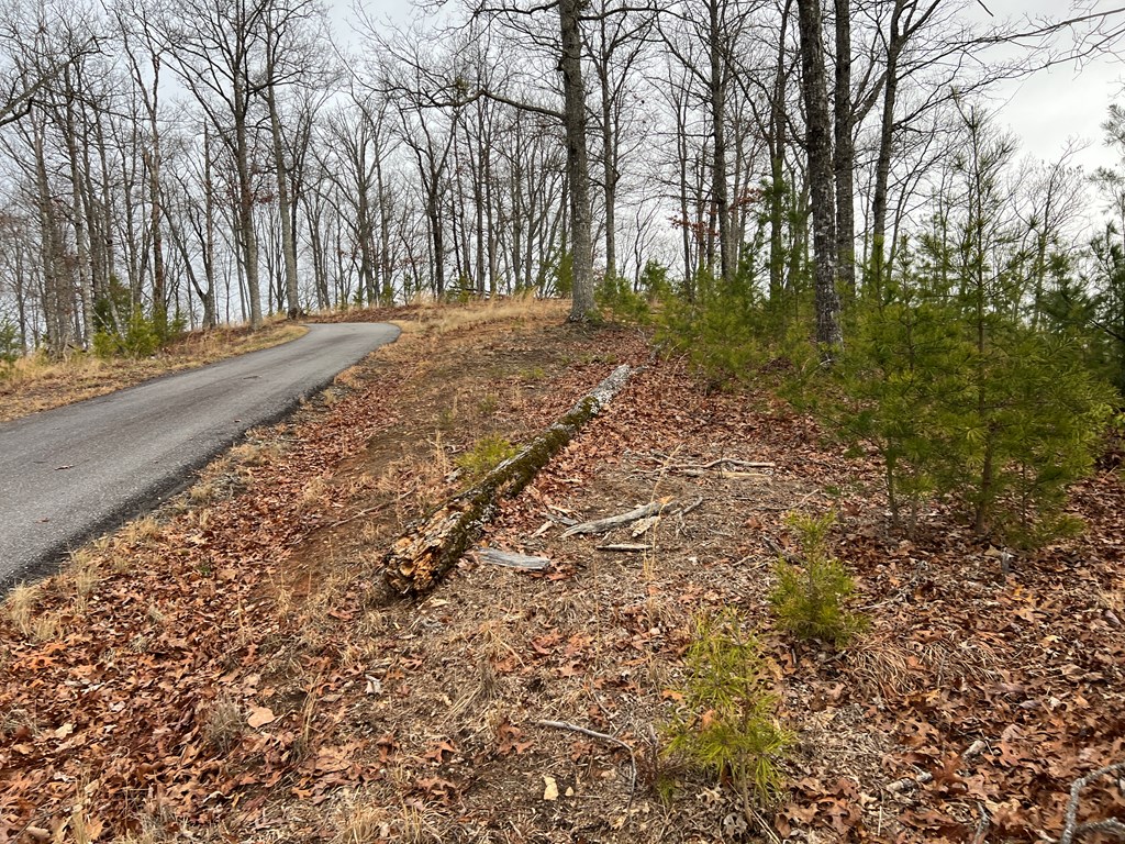 Lot 137 Shiloh Property Photo 18