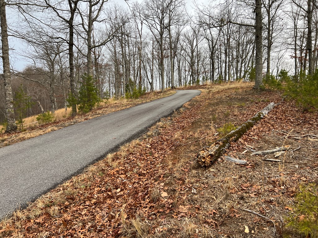 Lot 137 Shiloh Property Photo 19