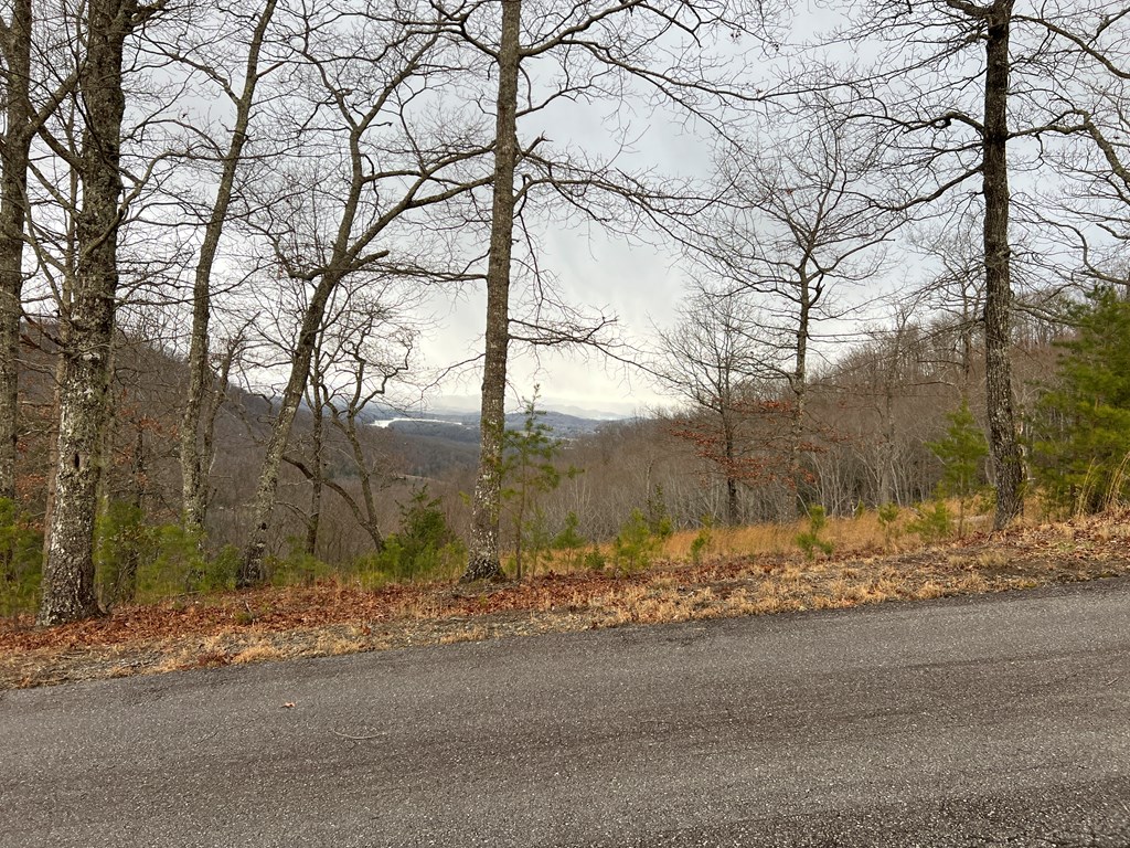 Lot 137 Shiloh Property Photo 24