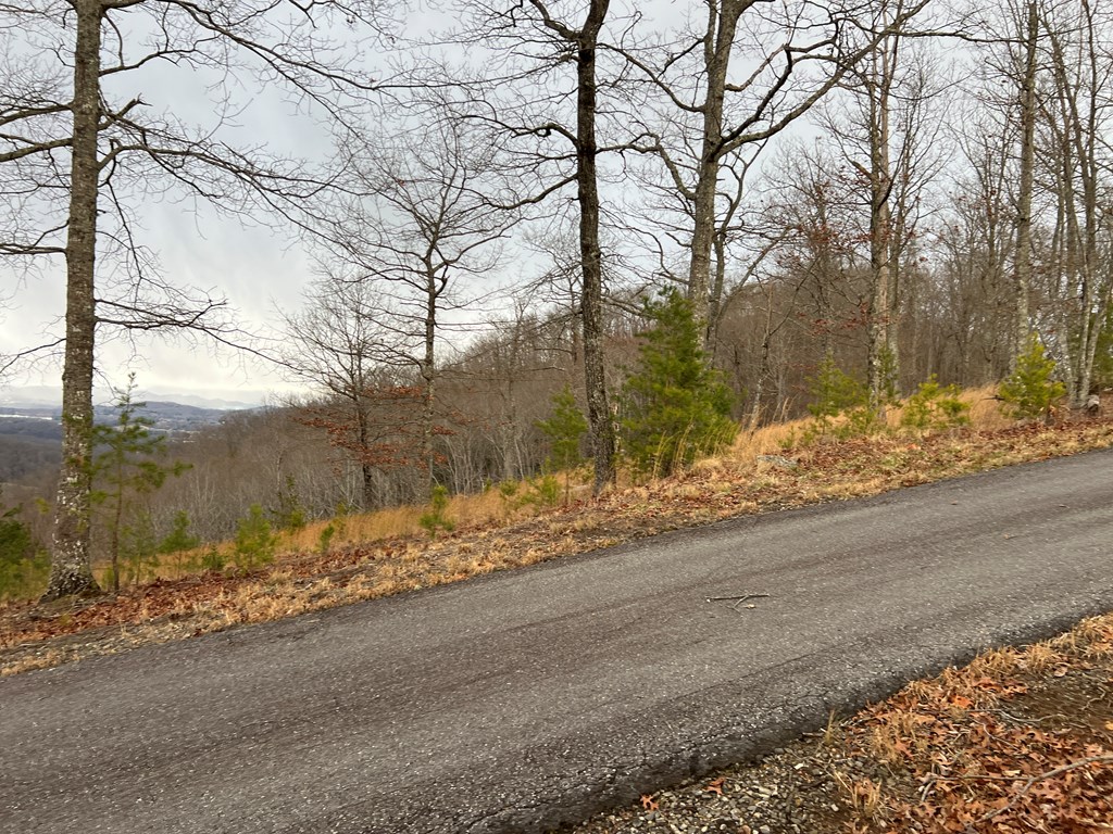 Lot 137 Shiloh Property Photo 25