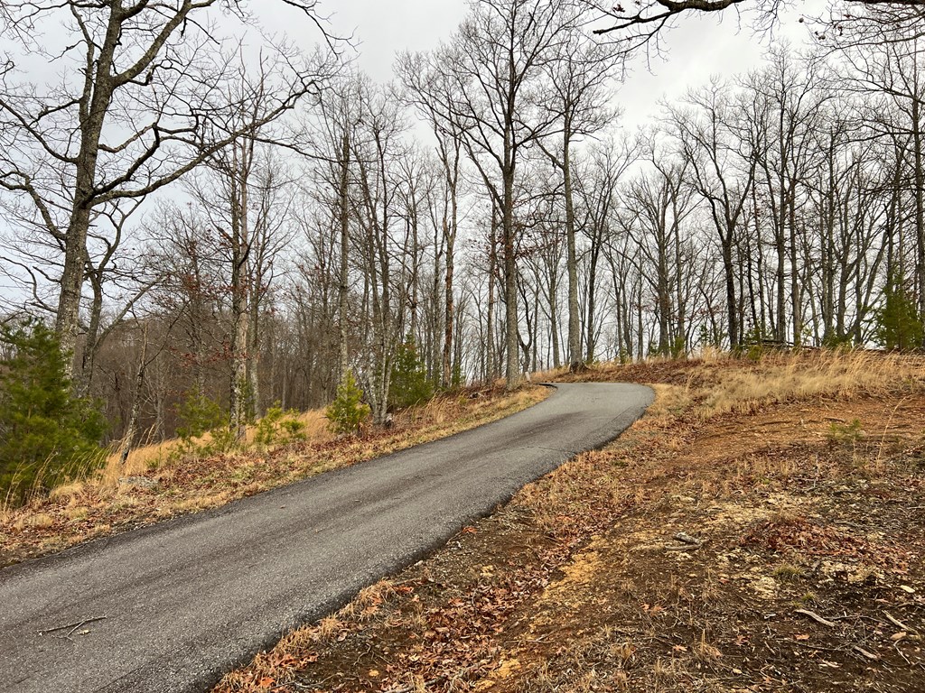 Lot 137 Shiloh Property Photo 26