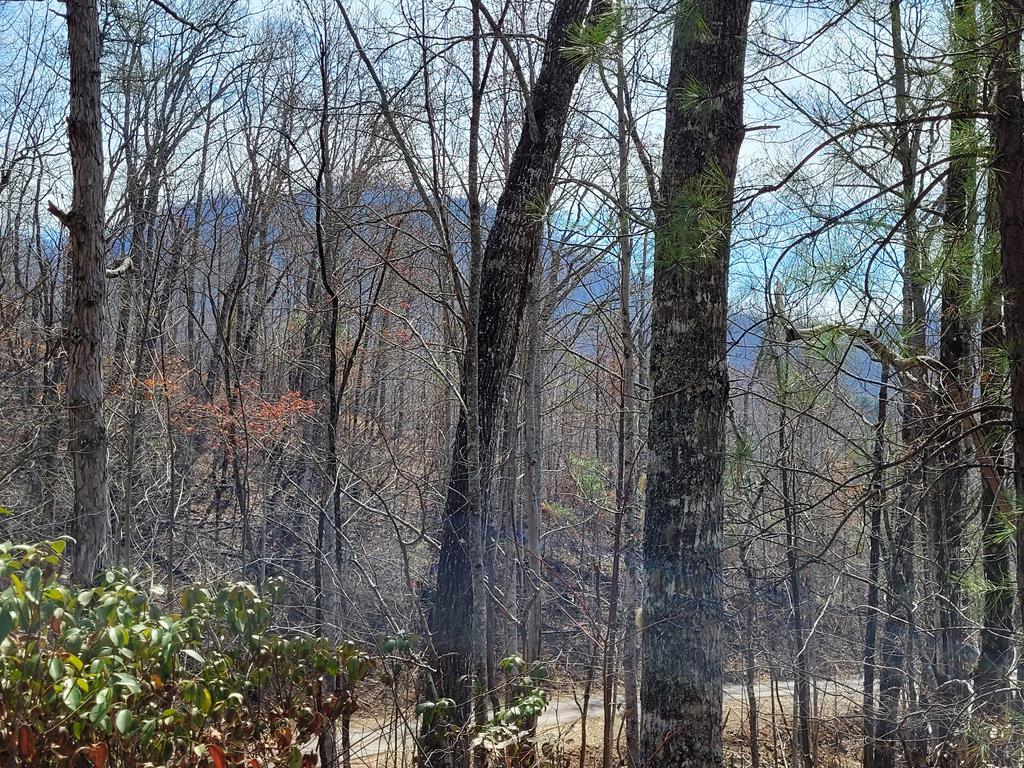 14 Flaming Ridge Property Photo 1
