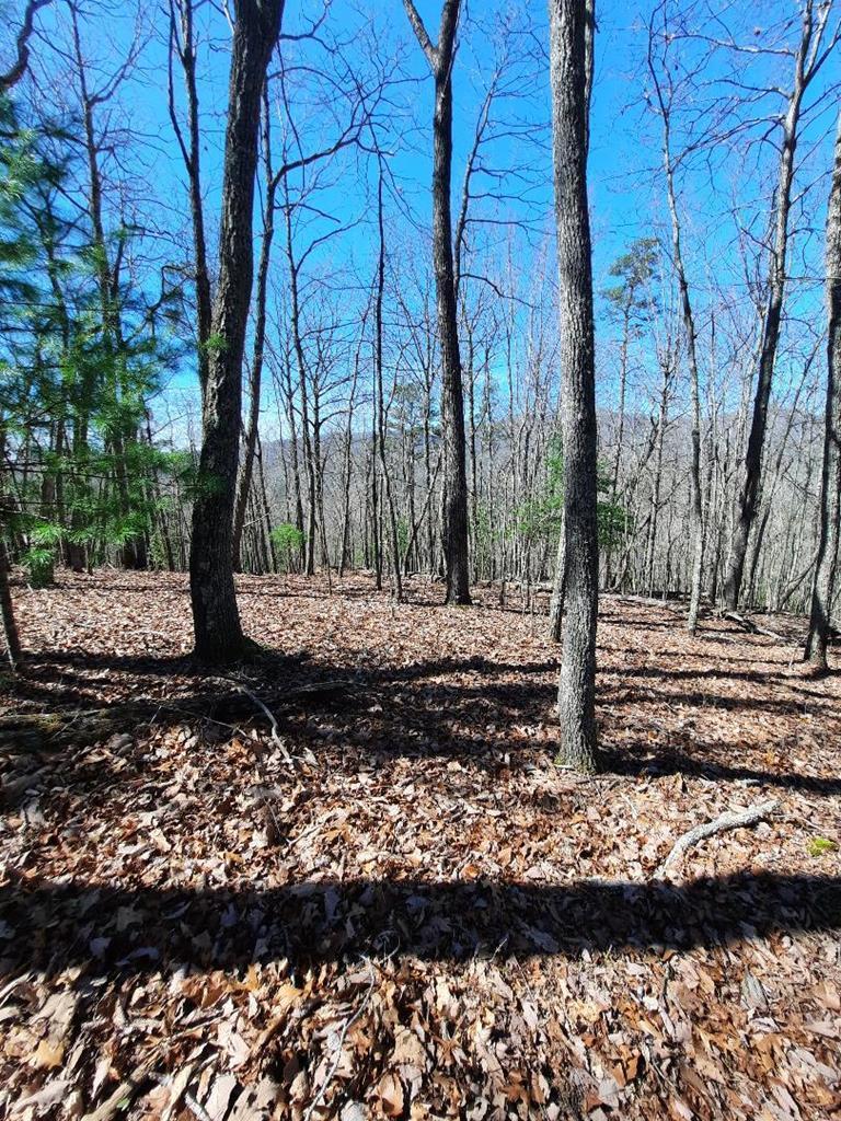 Lot # 7 Quail Run Ridge Property Photo 2
