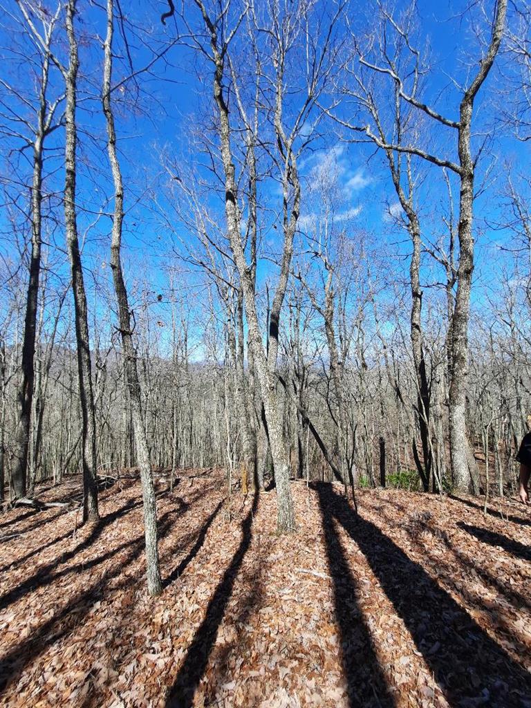 Lot # 7 Quail Run Ridge Property Photo 4