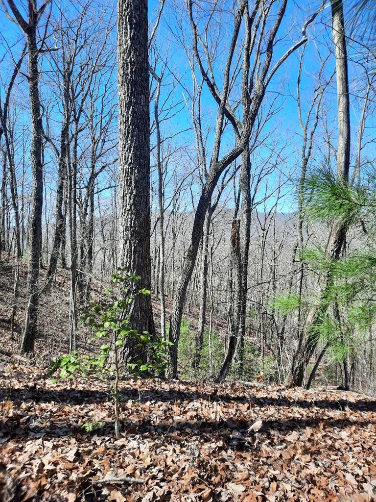 Lot # 7 Quail Run Ridge Property Photo 6