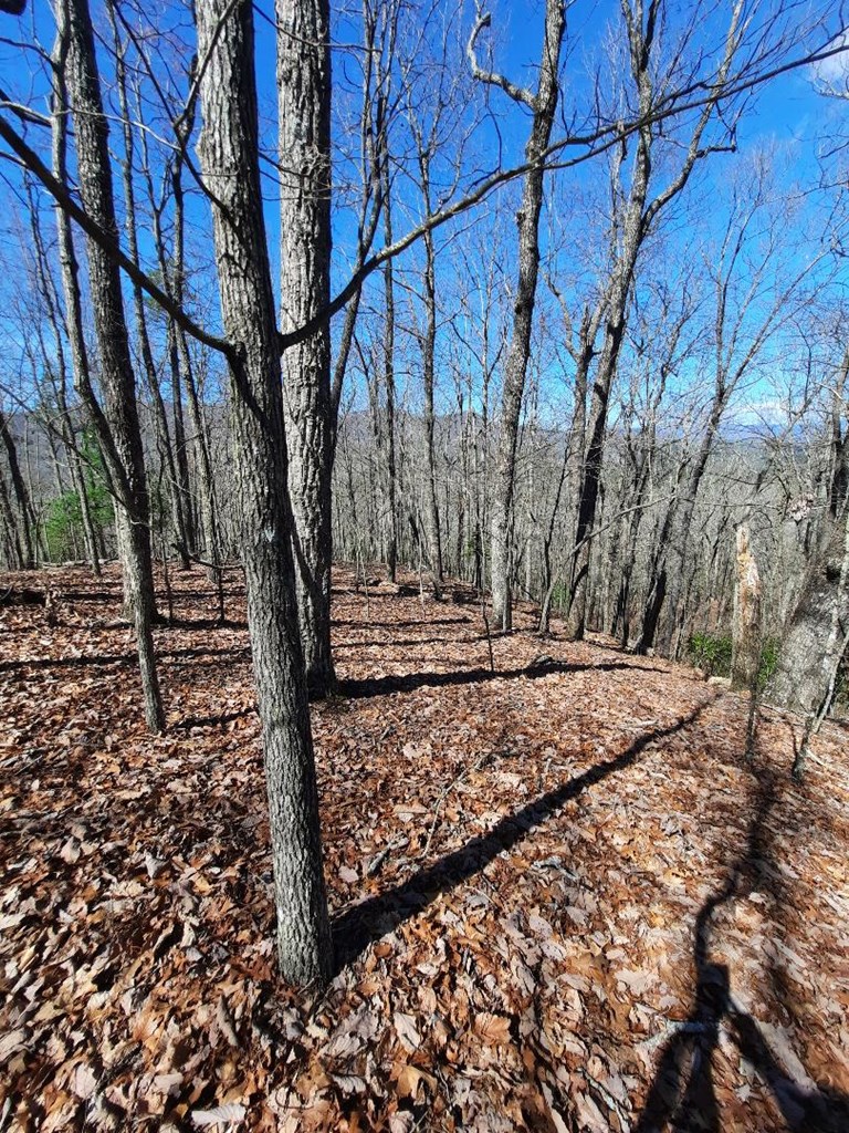 Lot # 7 Quail Run Ridge Property Photo 7